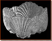 Shell Pattern